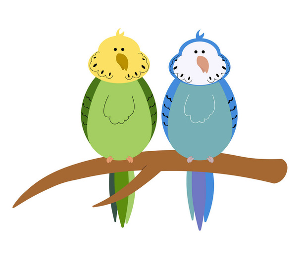Cute couple of budgies sitting on a branch - Vector, Imagen