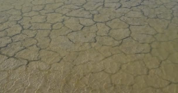 Scamandre doğal parkındaki kuraklık toprağı, Camargue, Fransa - Video, Çekim