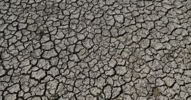 Suelo seco en el parque natural regional de Scamandre, Camargue, Francia - Metraje, vídeo