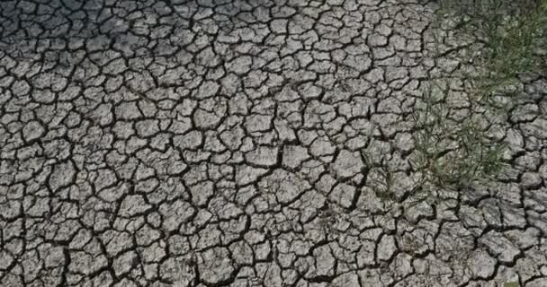 Dryness soil in the Scamandre natural regional park, Camargue, France - Footage, Video