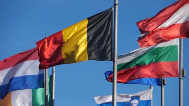 Flags of european countries waving in the wind - Footage, Video