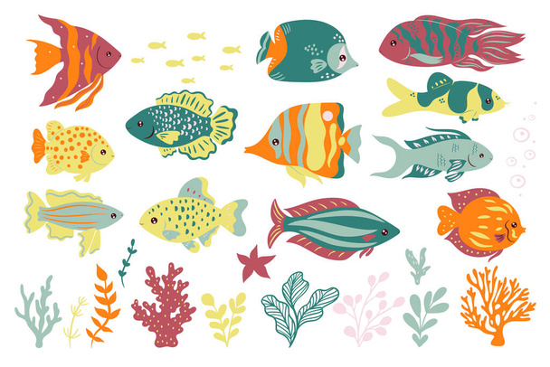 Set of cute oceanic fish isolated on a white background. Vector image. - Vektör, Görsel