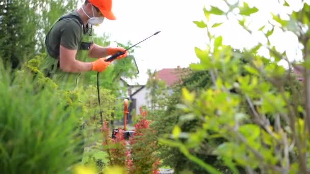 Jardinier caucasien avec équipement de jardin insecticide professionnel Pulvérisation d'arbres. - Séquence, vidéo