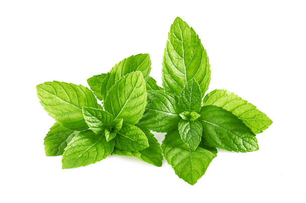 Mint leaves, mint leaves isolated on white background - Photo, Image