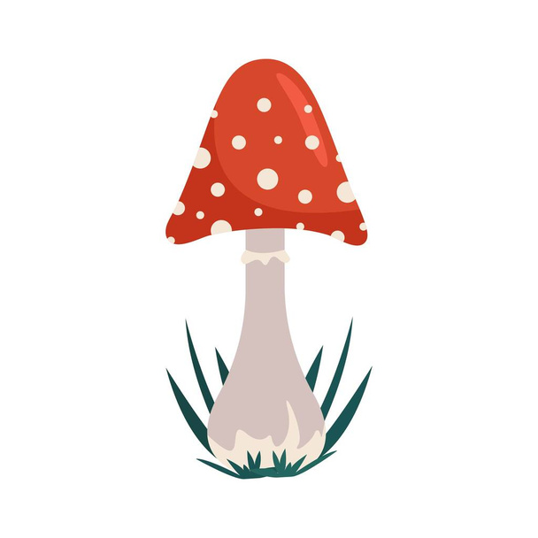 Cogumelo de toadstool vermelho em estilo plano, ilustração vetorial, isolado - Vetor, Imagem
