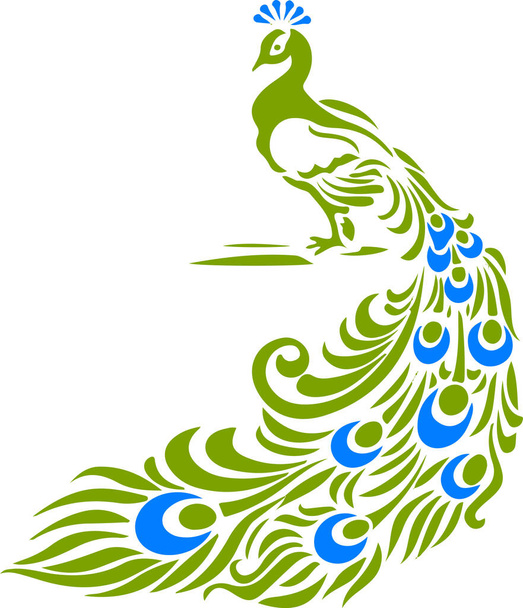 Dessin ou croquis d'un oiseau indien célèbre et beau mâle Paon Illustration modifiable - Vecteur, image