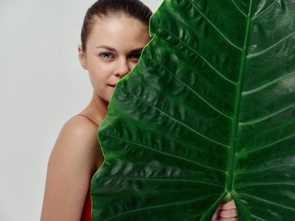 hübsche Frau neben grünem Blatt der Palme auf hellem Hintergrund abgeschnitten Ansicht - Foto, Bild