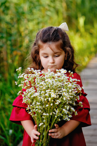 Szelektív fókusz. Egy vörös ruhás lány portréja százszorszép virágokkal a természetben. A lány egy nagy csokor kamillát tart maga előtt, és nézi.. - Fotó, kép