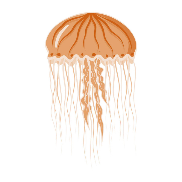 Eristetty värillinen meri meduusat tasainen tyyli valkoisella pohjalla, vektori kuva - Vektori, kuva