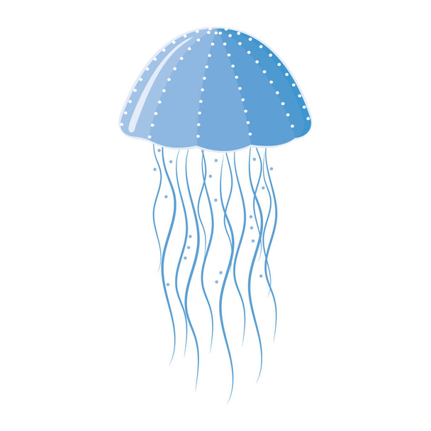 Isolated colored sea jellyfish in flat style on a white background, vector illustration - Vector, Image