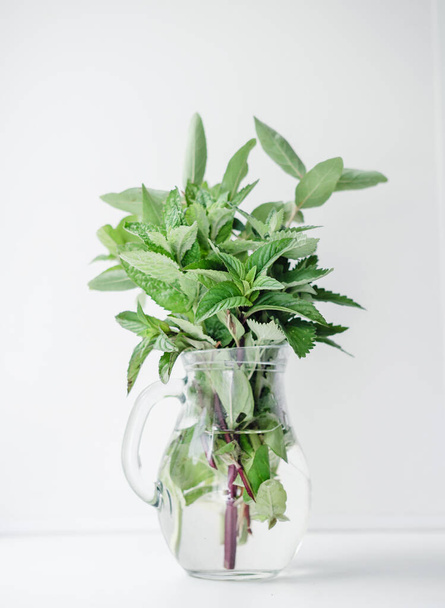 fresh bouquet of kitchen aromatic herbs in a glass jug. herbal tea ingredients, grown n a garden, mint, melissa and peppermint. toned photo. - Photo, image