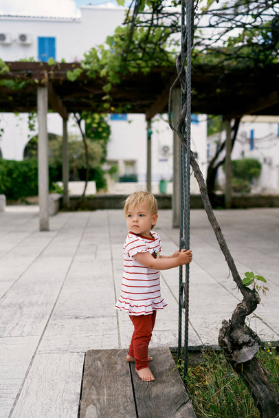 A kislány a létra mellett áll, amelyen szőlőt szőttek a ház udvarán. - Fotó, kép