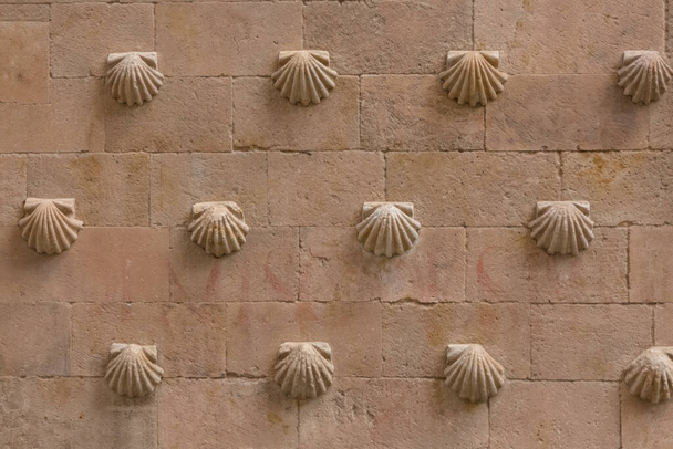 Architektur-Texturen, Detailansicht einer Wand mit traditionellem Muster auf dem Muschelhaus Casa de las Conchas in Salamanca... - Foto, Bild