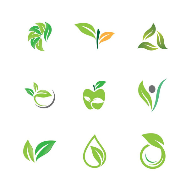 Leaf symbol vector icon illustration - Vektor, obrázek