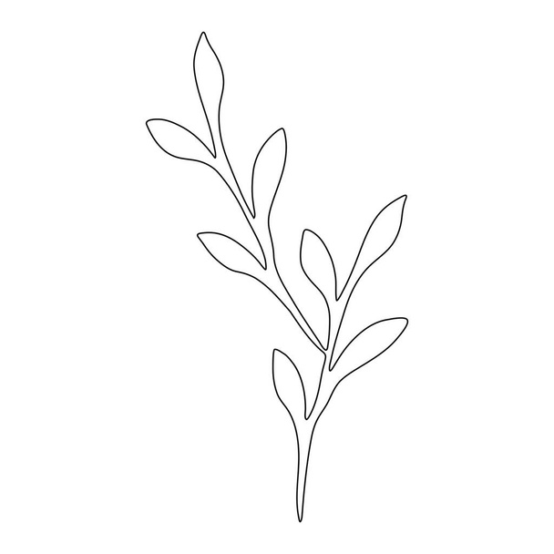 Plant with leaves. Vector outline element for design. - Vektör, Görsel