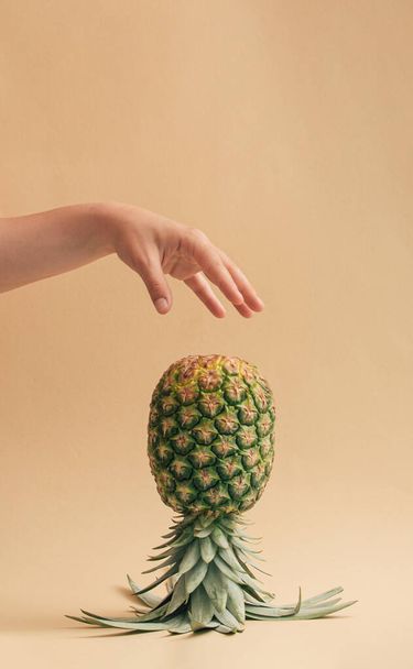 パステルベージュの背景に女性の手と有機新鮮なパイナップルで創造的な夏の熱帯のアイデア。最小限のエキゾチックな食品の概念、審美的な垂直配置. - 写真・画像