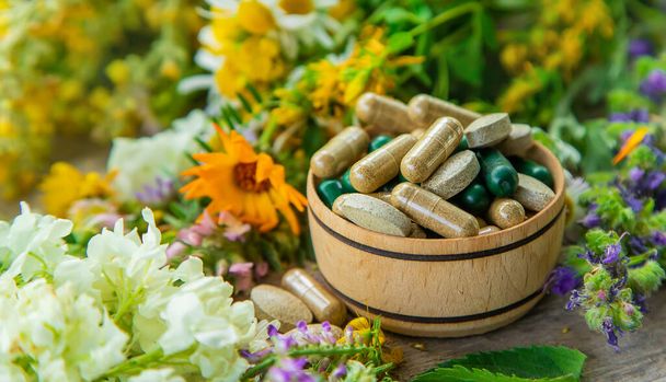 Suppléments et vitamines aux herbes médicinales. Concentration sélective. Nature. - Photo, image