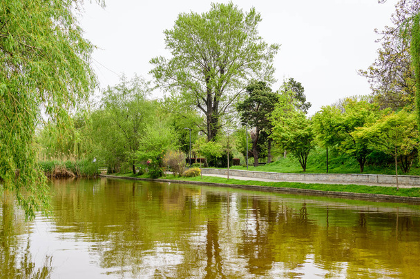 Krajina s vodou a zelené pláče vrby na břehu jezera Titan v Alexandru Ioan Cuza (IOR) Park v Bukurešti, Rumunsko, v zamračeném jarním dni s bílou oblohou - Fotografie, Obrázek