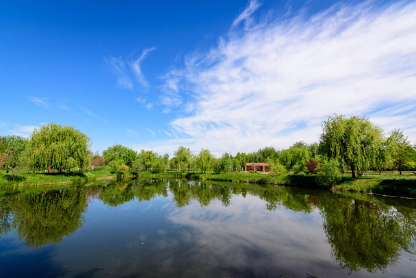 Paysage avec de vieux arbres verts près du lac et du parc Mogosoaia, une attraction de week-end près de Bucarest, en Roumanie, par une journée de printemps ensoleillée - Photo, image