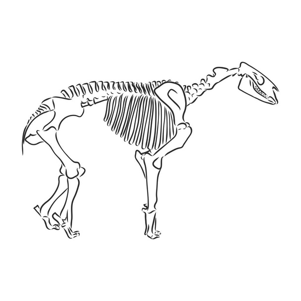 Grafische triceratops geïsoleerd op witte achtergrond, vectorillustratie voor afdrukken - Vector, afbeelding