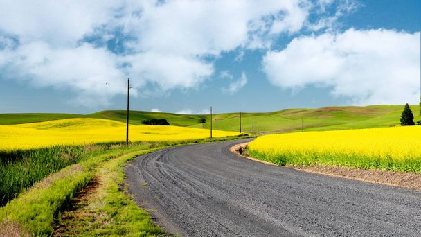Terras agrícolas de Washington onde leva uma estrada de cascalho - Foto, Imagem