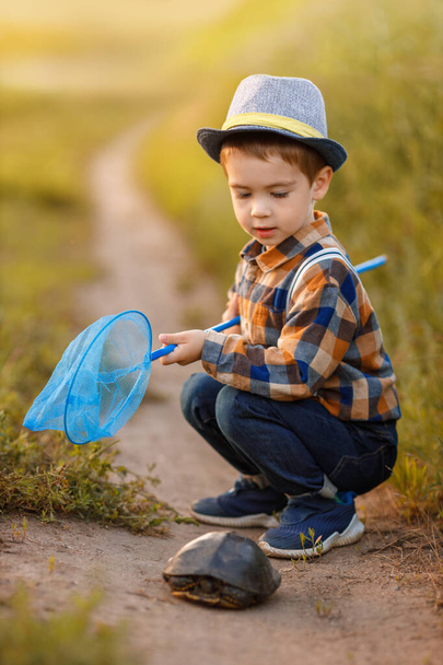 little boy exploring nature in the meadow - Photo, image