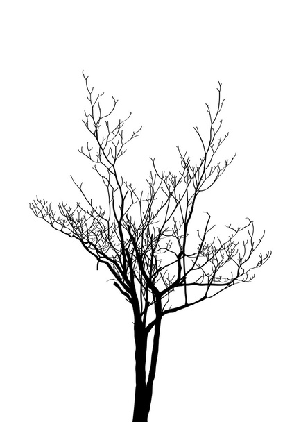 Вектор мертвого дерева без листьев нарисован на рисунке, EPS 10
. - Вектор,изображение