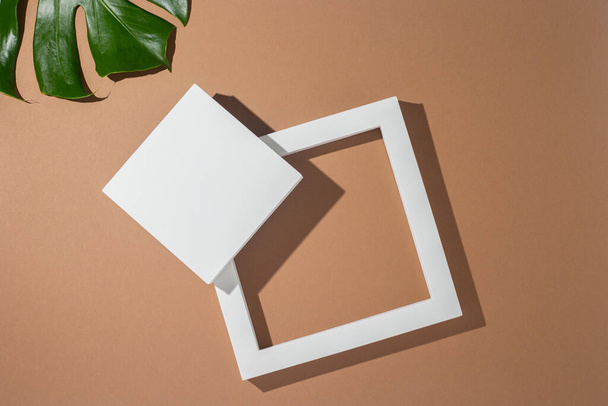Fehér bemutató dobogók, geometrikus formák, monstera levél barna háttérrel. Felülnézet, lapos fektetés. - Fotó, kép