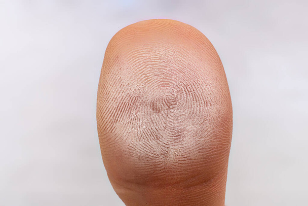 electric biometric fingerprint scan, macro shot, future technology - Foto, Bild