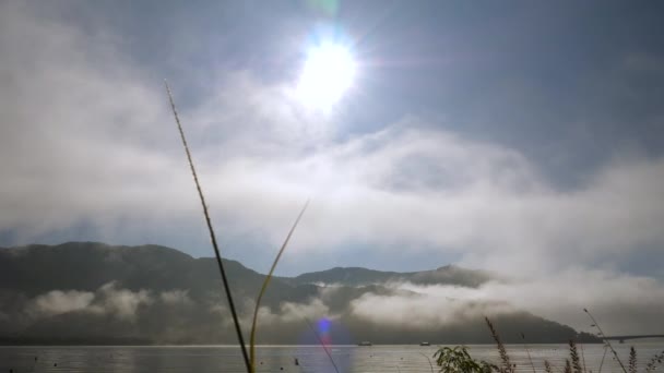 Japonya 'daki Kawaguchi Gölü' nün manzara manzarası. - Video, Çekim