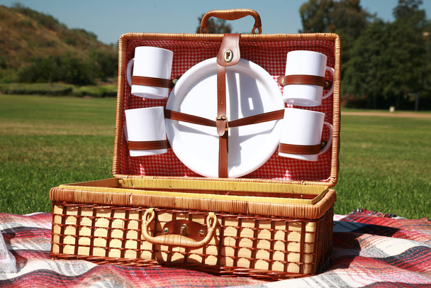 Picnic. Summer Picnic. Picnic in a park. Spring time lunch. picnic outdoors. holiday picnic. picnic outside. picnic basket. picnic lunch. Lunch in the park on the green grass. Summer sunny day and picnic basket. Sandwiches, and burgers outdoors. - Photo, Image