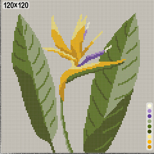 pattern for cross stitch or knitting - strelitzia or bird of paradise - Vector, Image