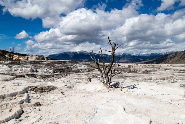 Mammoth Hot Springs Terraces a Yellowstone National Park, Wyoming, orizzontale - Foto, immagini