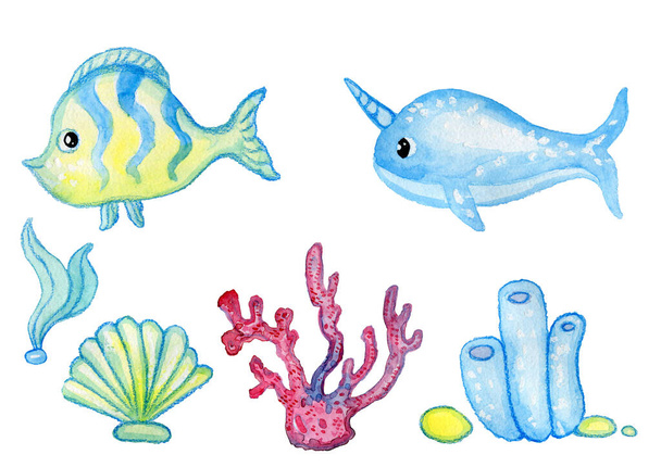 Set of cartoonish marine animals coral, fish, narval, shell, seaweed watercolor by hand - Foto, immagini