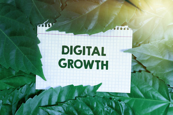 Text sign showing Digital Growth. Concept meaning early stages of business progress developing a shared vision Nature Conservation Ideas, New Environmental Preservation Plans - Photo, Image