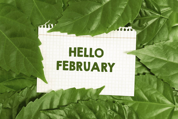 Inspiráció mutató jel Hello February. Üdvözlő szó az év második hónapjának köszöntésére Természetvédelmi ötletek, Új környezetvédelmi megőrzési tervek - Fotó, kép