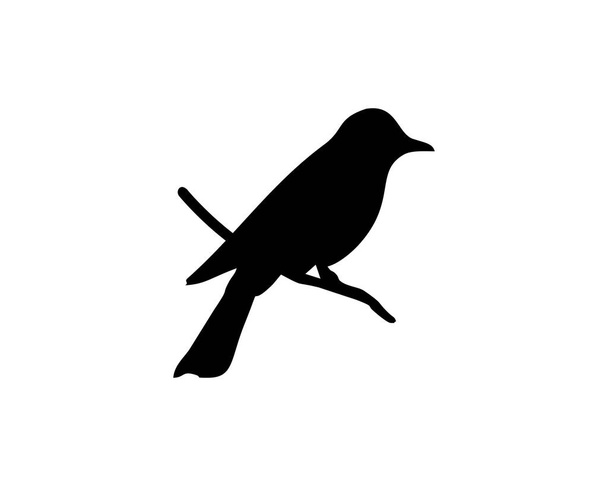 silueta pájaro gorrión logo vector - Vector, Imagen
