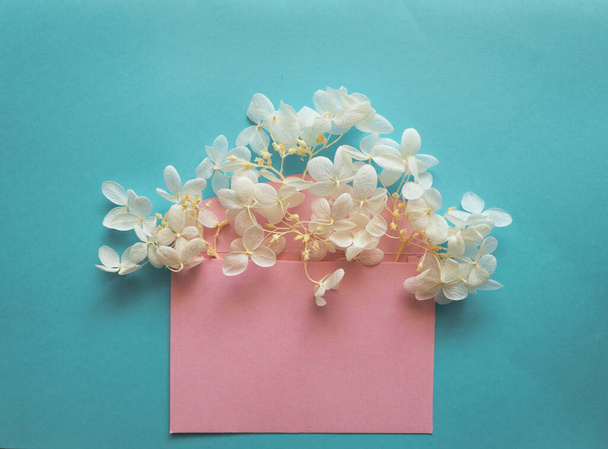 Enveloppe rose avec des fleurs blanches hortensia à l'intérieur sur un fond bleu. - Photo, image