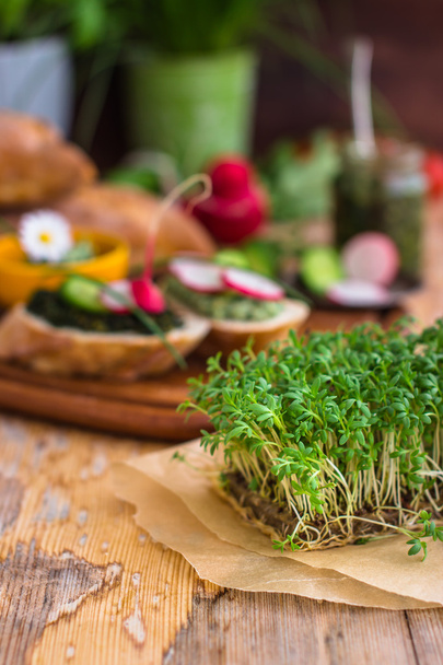 Vegan food background with fresh cress - Photo, Image