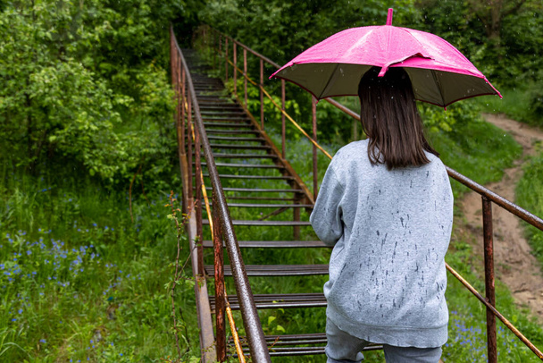 Tyttö sateenvarjon kanssa kävelee metsässä sateisella säällä.. - Valokuva, kuva