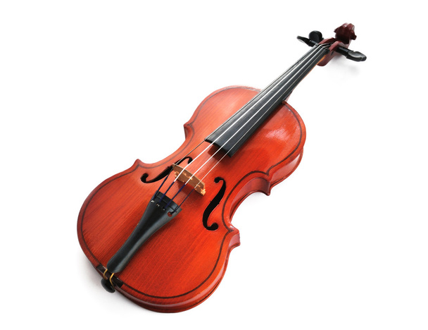 Violin - Photo, Image