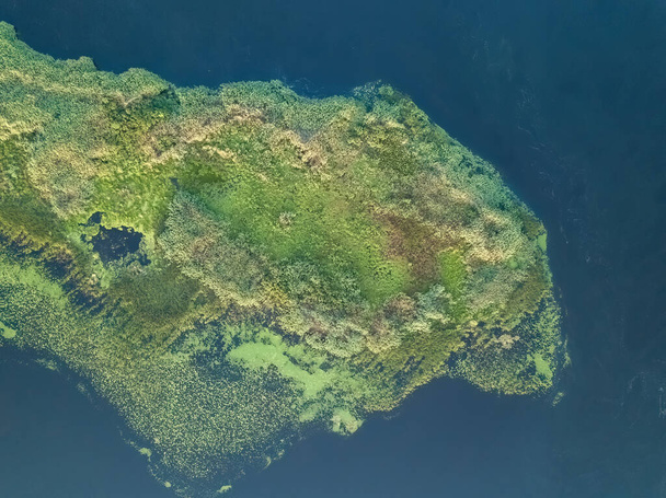 Island on the river. Aerial drone top view. - Foto, afbeelding