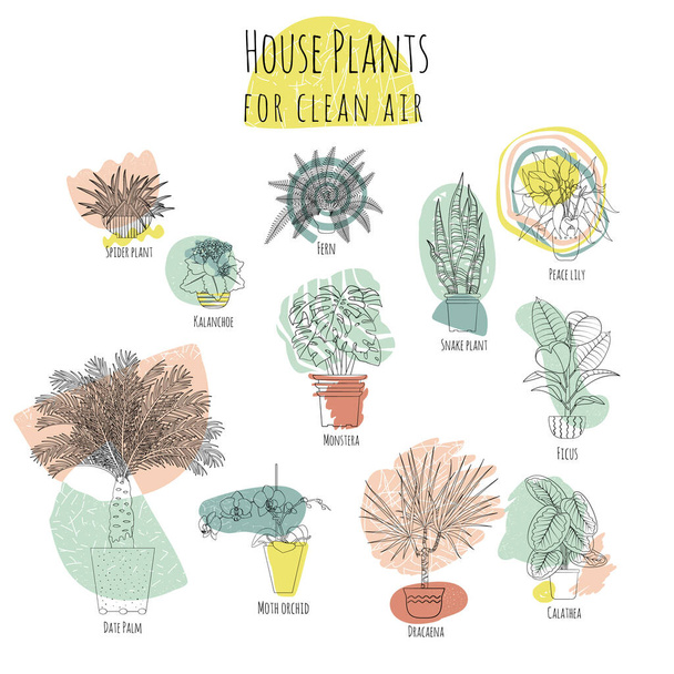Ensemble coloré de diverses plantes d'intérieur en pot pour un air pur. Formes abstraites sur fond - Vecteur, image
