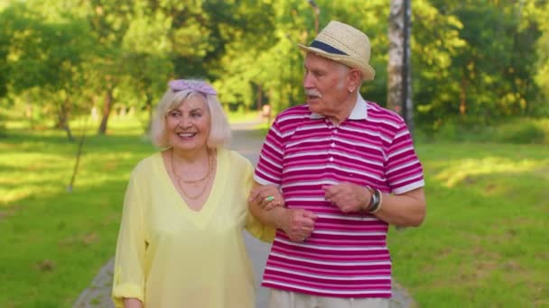 Старшие старые стильные туристы пара бабушка, дедушка, гуляющий и разговаривающий в летнем парке - Кадры, видео