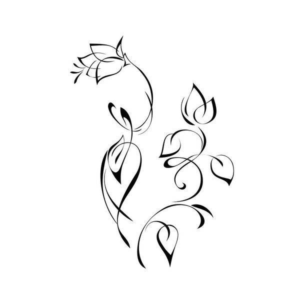 stylized flowers on curved stems with leaves in black lines on a white background - Vector, Image