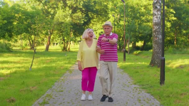 Senior pensionnés élégants couple grand-mère grand-père marche, profiter du temps ensemble dans le parc - Séquence, vidéo