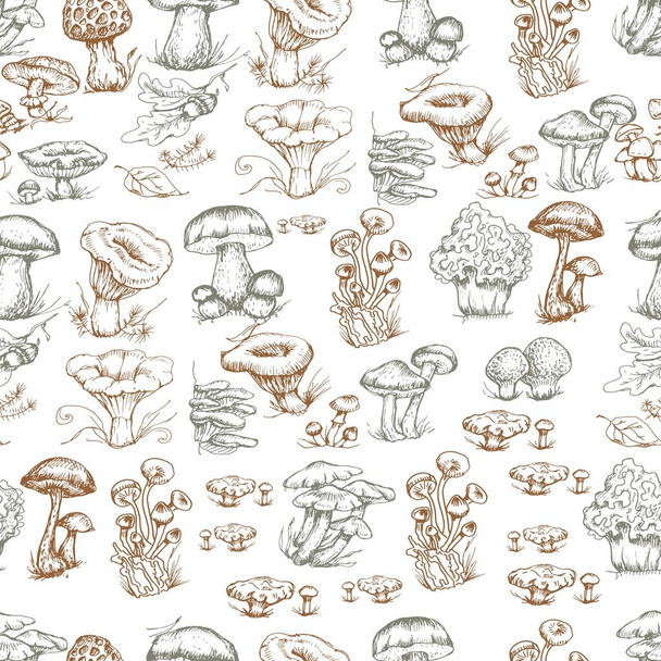 mushrooms vector graphics hand drawn. Print textile illustration background set patern seamless, coloring engraving vintage retro collection forest nature food - Wektor, obraz