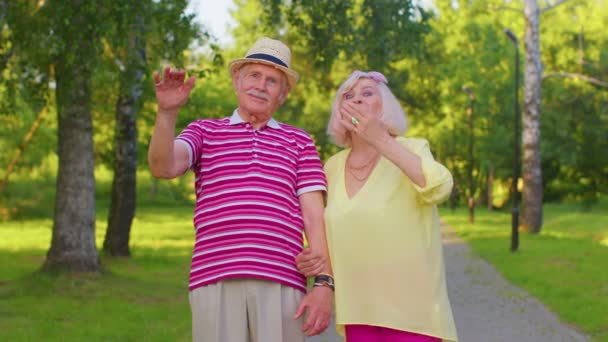 Старшая стильная пара бабушка дедушка машет ладонью в знак прощания, попрощаться с кем-то - Кадры, видео