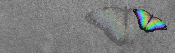 Butterfly Symbolises Transformation Message Banner - μια πολύχρωμη πεταλούδα στην κορυφή μιας ξεθωριασμένης έκδοσης με φόντο ένα ρουστίκ γκρίζο πέτρινο εφέ - Φωτογραφία, εικόνα