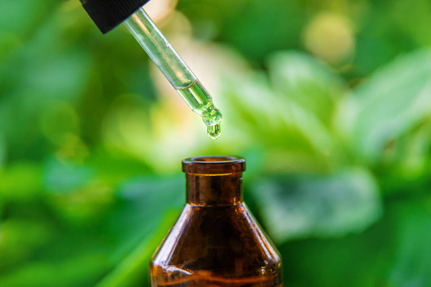 Extracto de aceite esencial de hierbas medicinales en una botella pequeña. Enfoque selectivo. Naturaleza. - Foto, Imagen